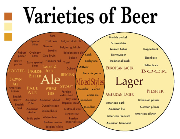 What is the Difference Between an Ale and a Lager?