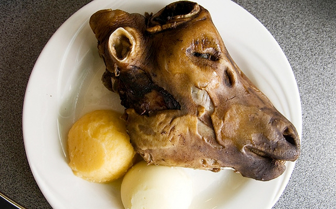 Delicious or Disgusting? Odd Museum Serves Up Sheep Eyeballs and Frog Smoothies?