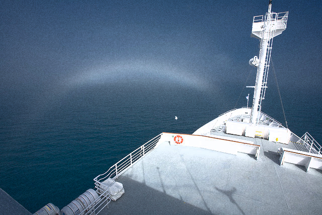 Evening fog bow on the MS National Geographic Endeavour on the Scotia Sea near South Georgia Island (John Montague, Flickr)