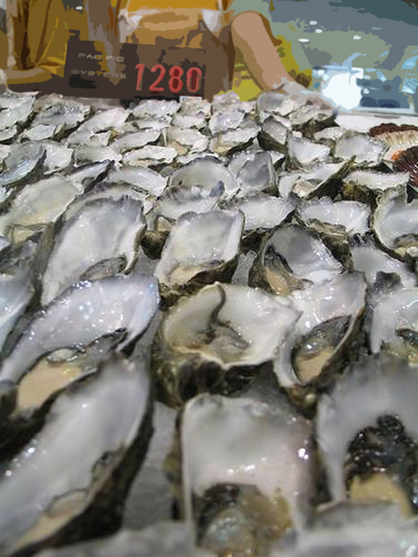Should You Really Not Eat Oysters in Months Without an “R”?