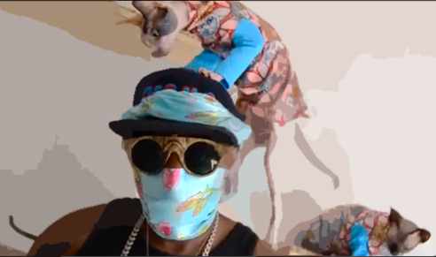 This Guy Who Raps About His Cats Is Totally Purrrfect