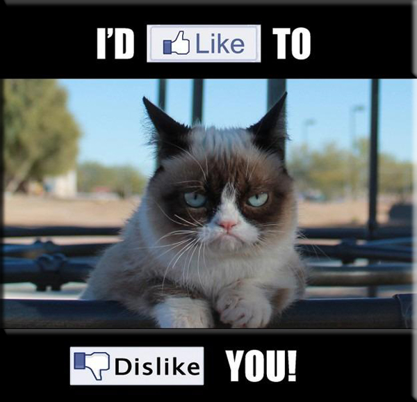 Facebook Like / Dislike
