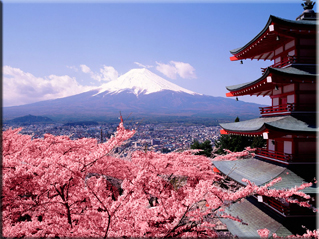Japan - Tokyo, Mount Fuji, Cherry Blossoms - Japanese macaque - 'Super' Train - Tokyo