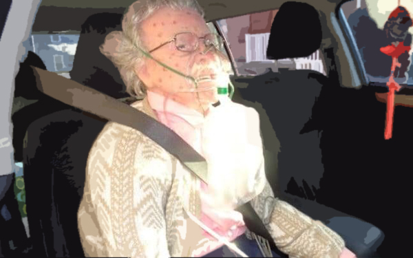 Police break into frozen car to rescue elderly woman - but it's not what they think...