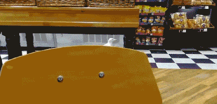 Seagull filmed waddling into Greggs before walking off with pack of crisps
