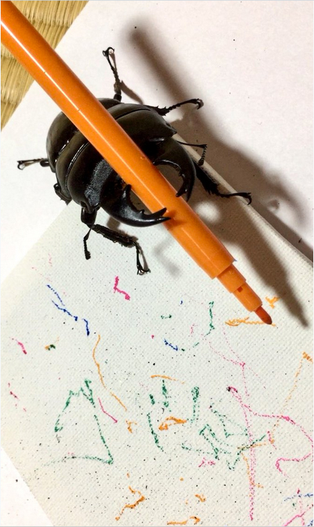 'People Are Very Impressed With This Stag Beetle Who Creates Art