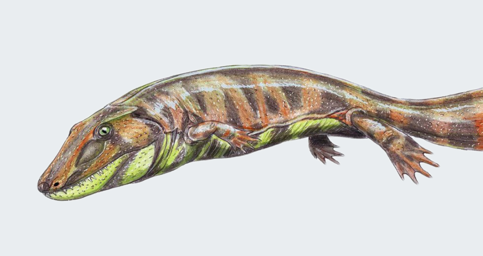 Ancient Fish Fossil Reveals Evolutionary Origin of the Human Hand