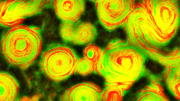 Swarms of mutant bacteria look just like Van Gogh's “Starry Night”