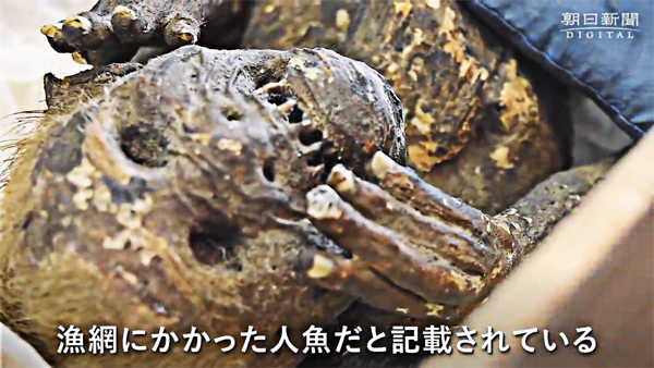 Haunting “mermaid” mummy discovered in Japan is even weirder than scientists expected