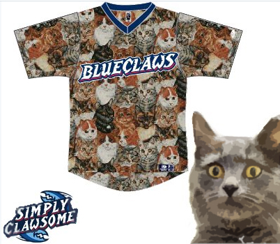 Minor league baseball team to wear cat-themed uniforms in celebration of “Caturday”