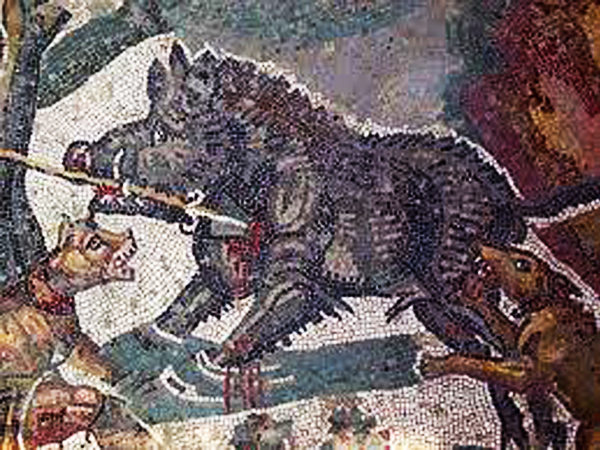 Boar hunting: The Ancient Romans left behind many more representations of boar hunting than the Ancient Greeks in both literature and art.