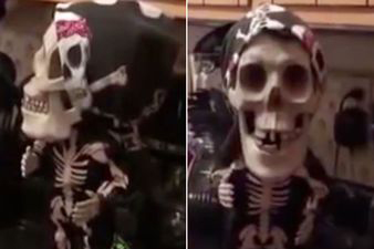 Terrifying moment “possessed” toy skeleton “speaks to couple” before violently shaking